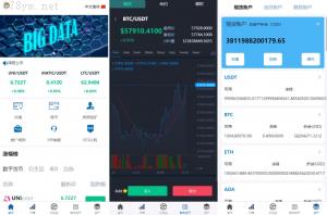 虚拟币外汇交易 全新多语言 交易所系统 期权合约交易 VUE PHP